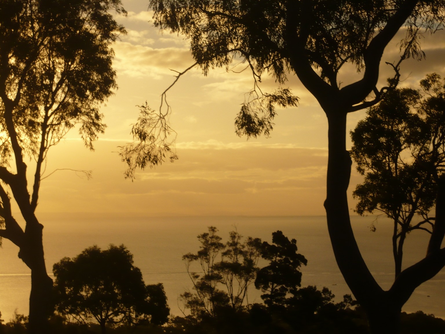 blog succes case study 1 Stradbroke Island Sunset - Merit Solutions Australia